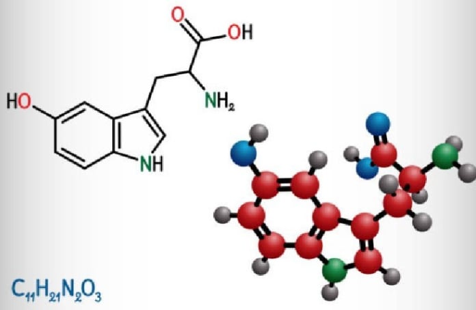 Serotonin Production